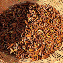 Load image into Gallery viewer, Balm of Gilead