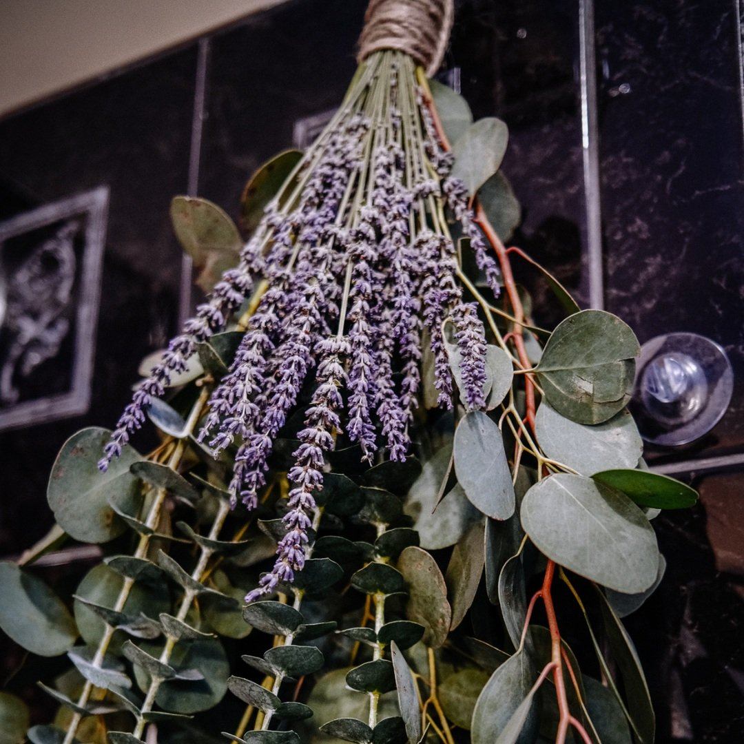 lavender and eucalyptus plants Assorted Fresh Eucalyptus & Dried Lavender Bundle – Northern Botanicals