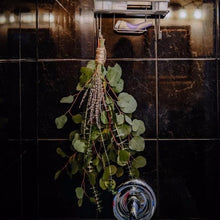 Load image into Gallery viewer, Assorted Fresh Eucalyptus & Dried Lavender Bundle Bundle Northern Botanicals Medium $30 Yes