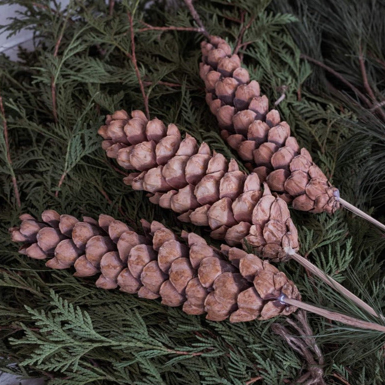 Set of 3 Decorative Pinecones on Stems