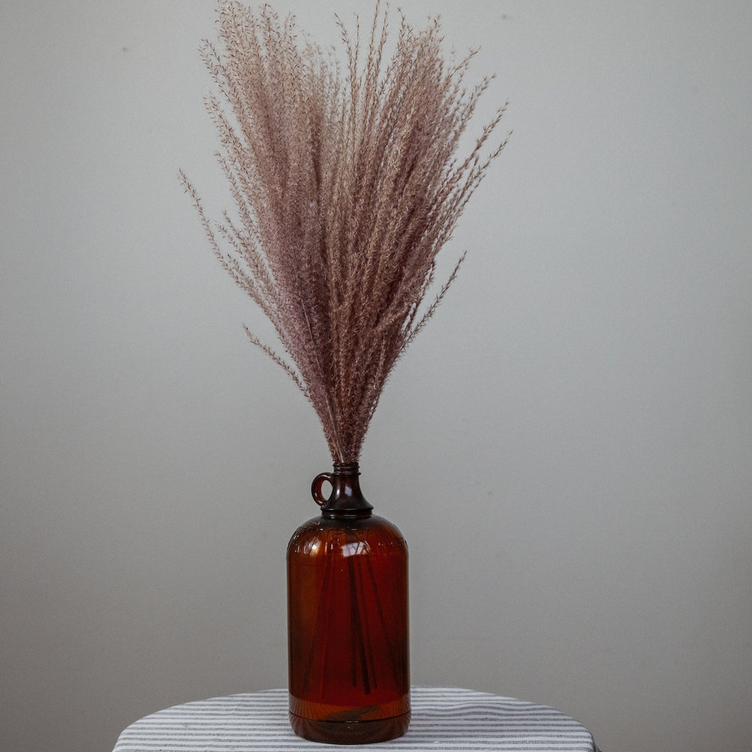 Dried Horsetail