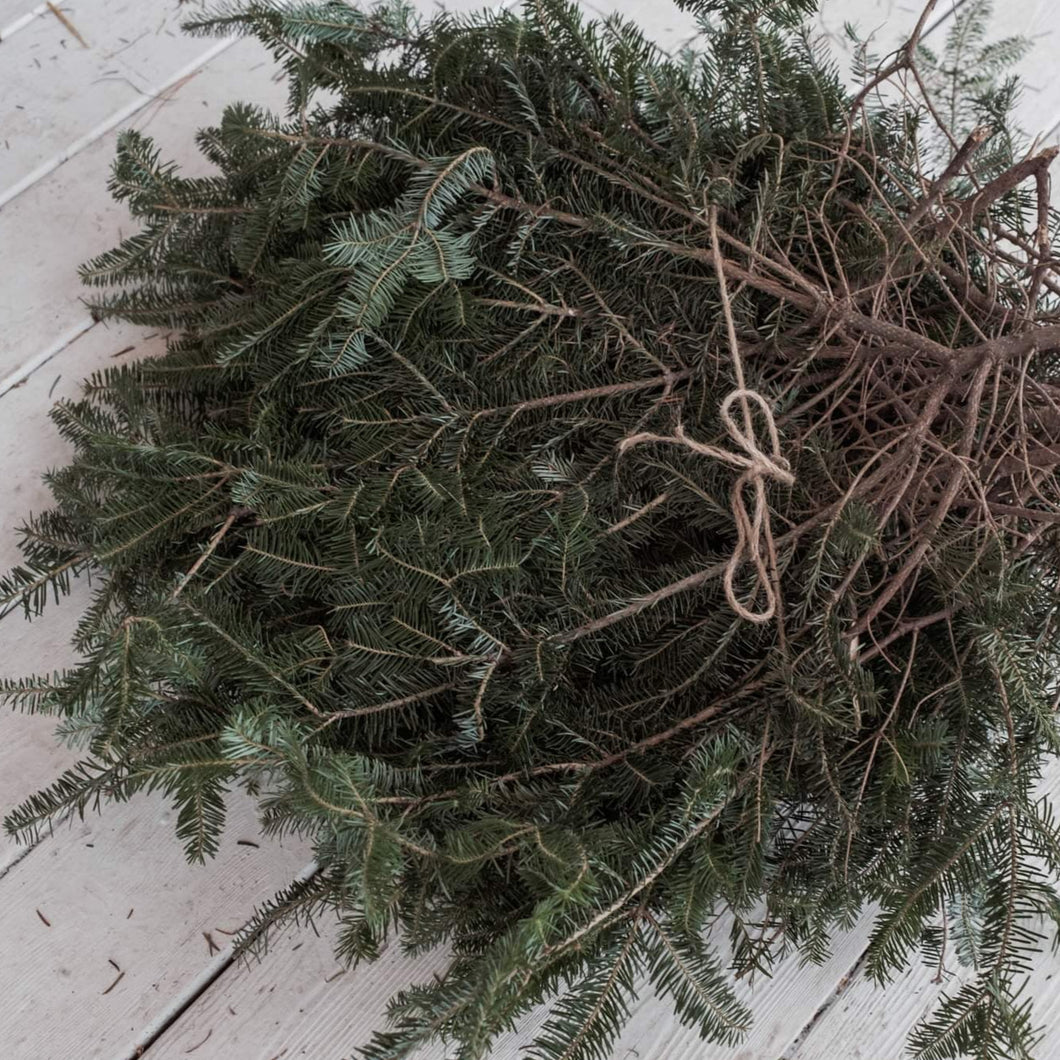 Fresh Balsam Boughs