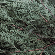 Load image into Gallery viewer, Fresh Cedar Boughs
